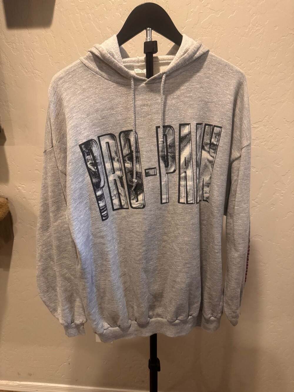 Vintage Pro-Pain Graphic Hoodie Grey Foul Taste of Freedom Band Merchandise